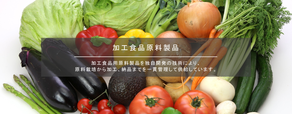 加工食品原料製品　加工食品用原料製品を独自開発の技術により、原料栽培から加工、納品までを一貫管理して供給しています。